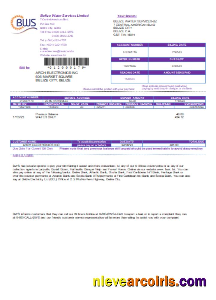 Belize Water Services Limited utility business bill